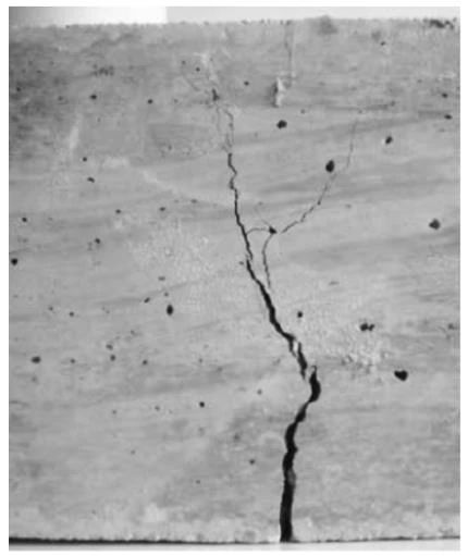 1729392419289431.jpg 4.jpg