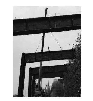 1753966207845230.jpg 2.jpg