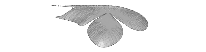 1764587024525504.png 1.png