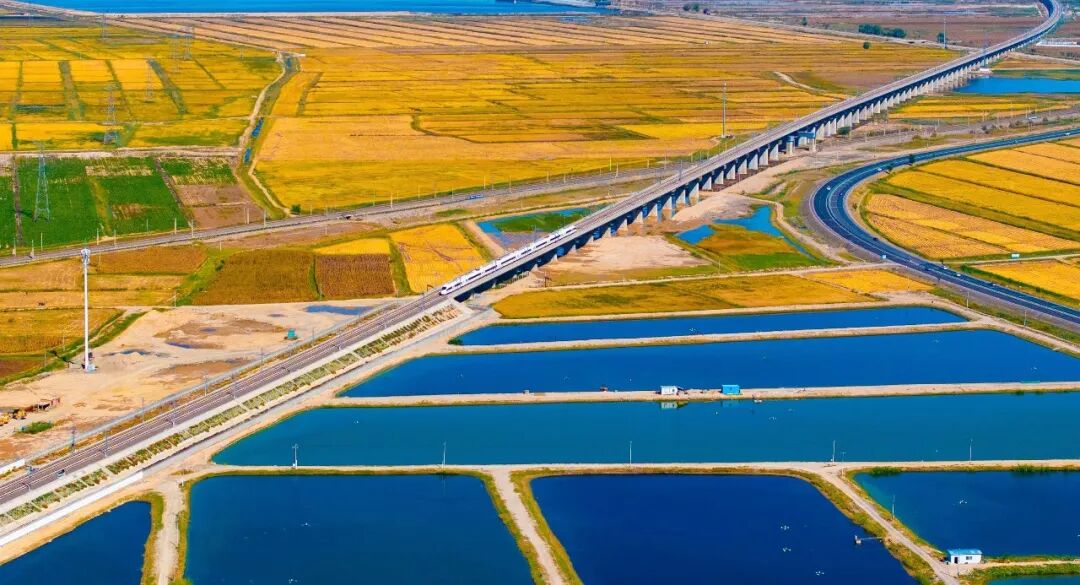 1767661353110337.jpg 640.jpg