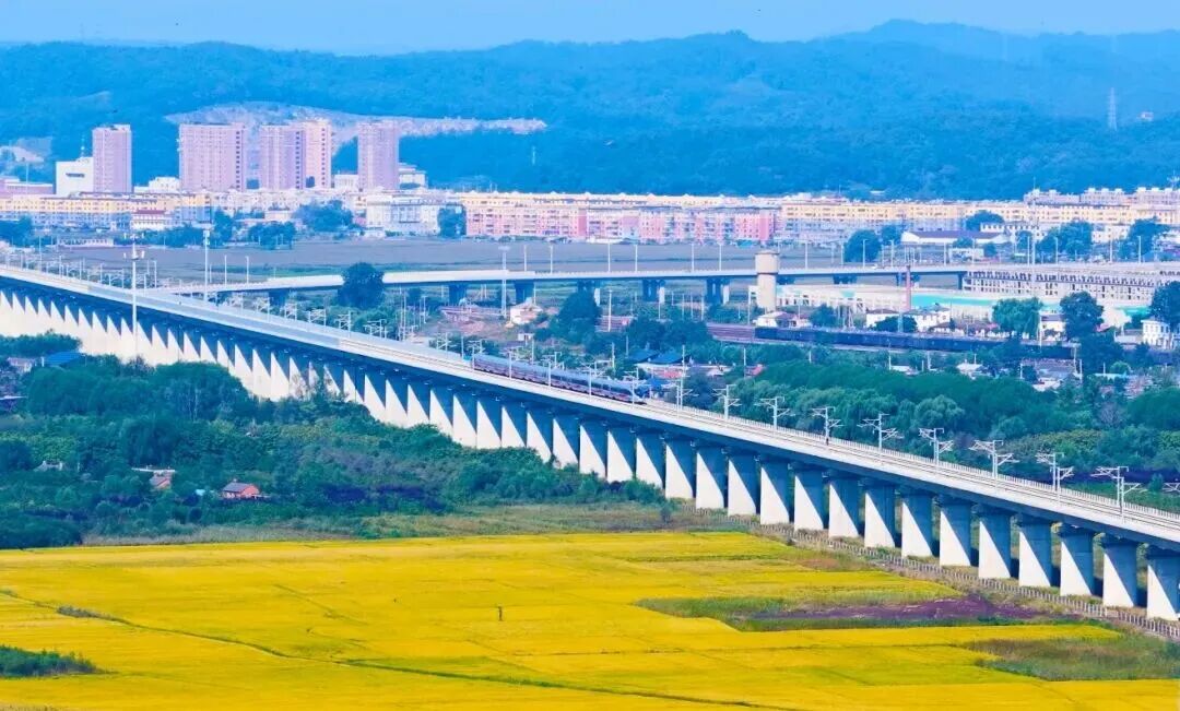 1767661477890327.jpg 640 (3).jpg